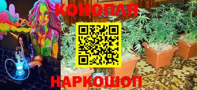 круглые Будённовск