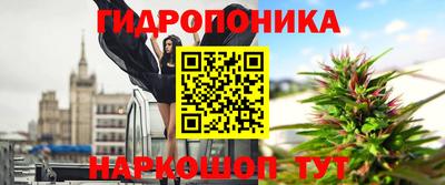 круглые Будённовск